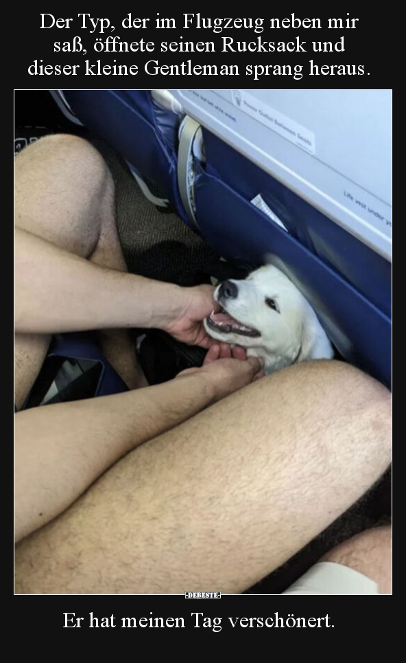 Der Typ, der im Flugzeug neben mir saß, öffnete seinen.. - Lustige Bilder | DEBESTE.de