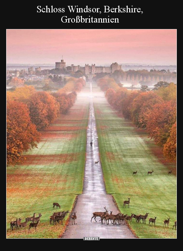 Schloss Windsor, Berkshire, Großbritannien.. - Lustige Bilder | DEBESTE.de