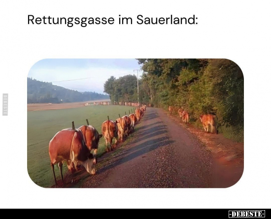 Rettungsgasse im Sauerland.. - Lustige Bilder | DEBESTE.de