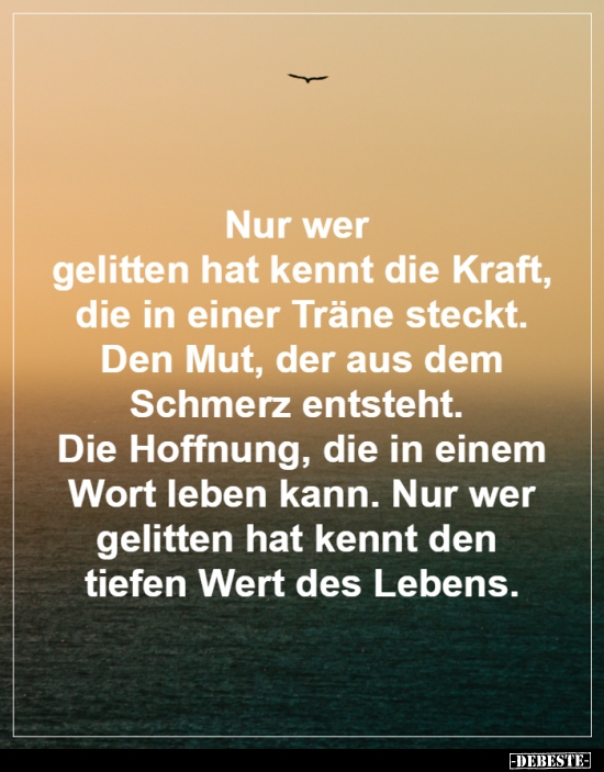Nur wer gelitten hat kennt die Kraft, die in einer Träne..