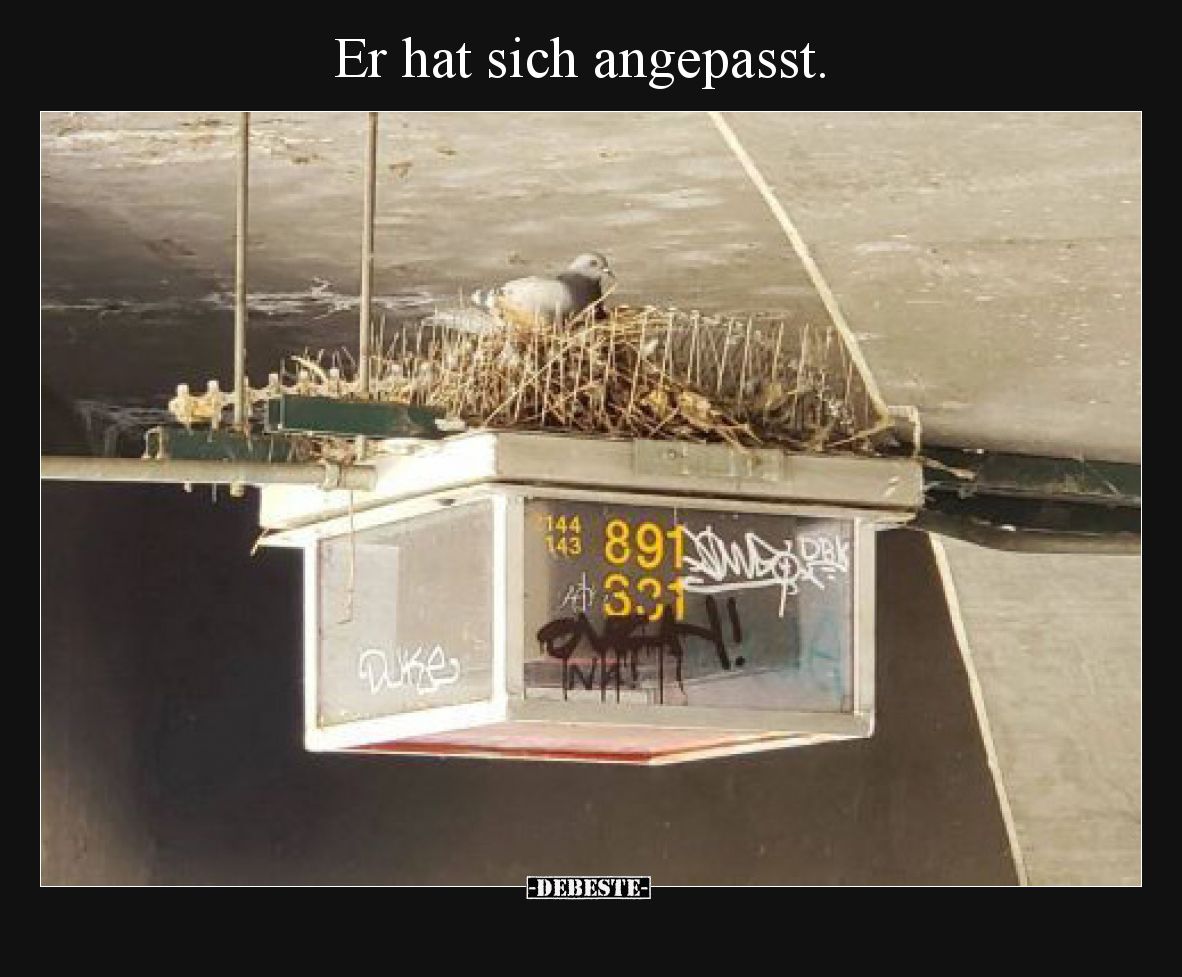 Er hat sich angepasst