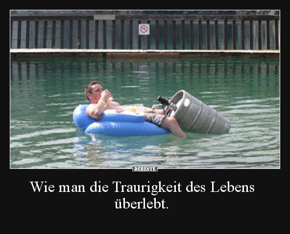 Wie man die Traurigkeit des Lebens überlebt... - Lustige Bilder | DEBESTE.de