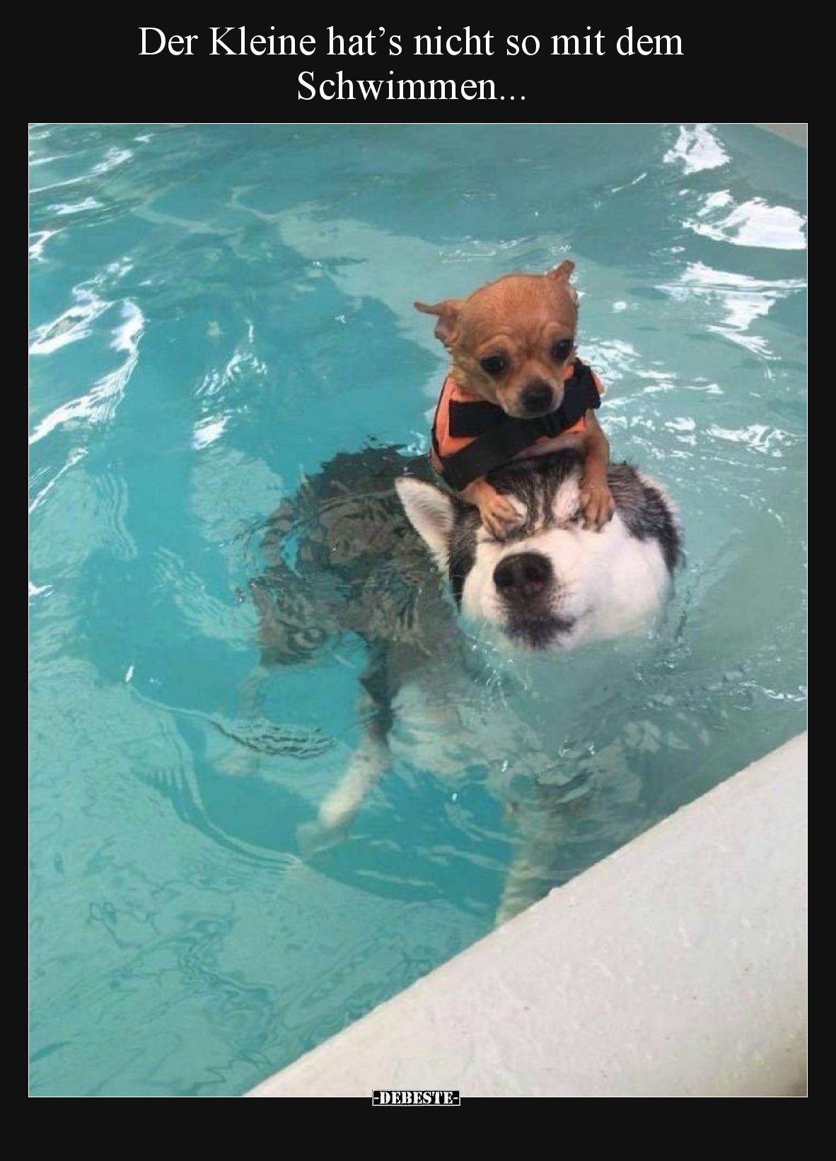 Der Kleine hat’s nicht so mit dem Schwimmen.