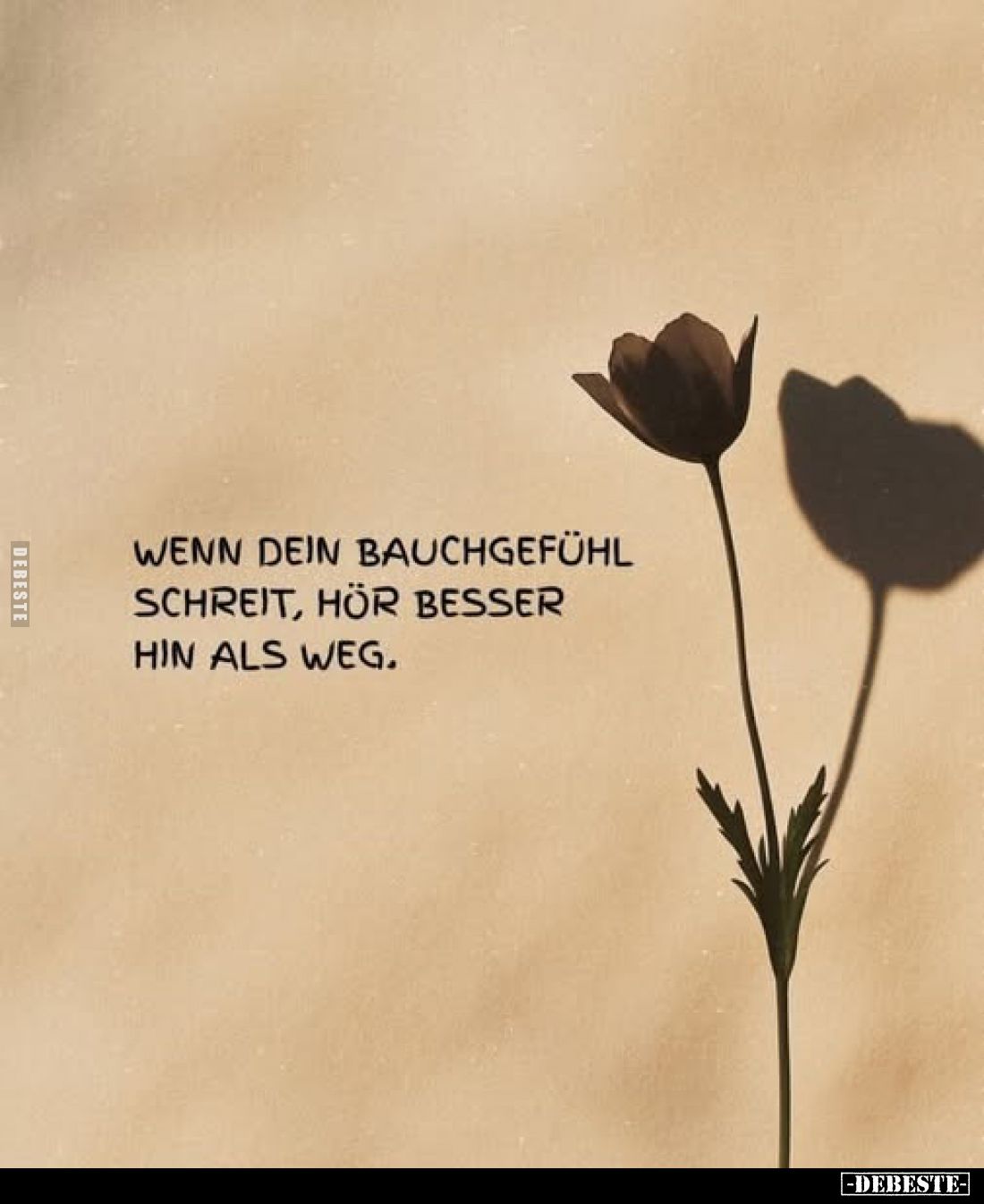 Wenn dein Bauchgefühl schreit, hör besser hin als weg.