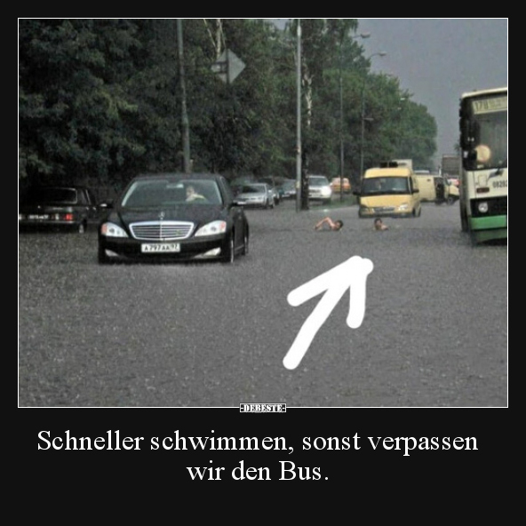 Schneller schwimmen, sonst verpassen wir den Bus... - Lustige Bilder | DEBESTE.de