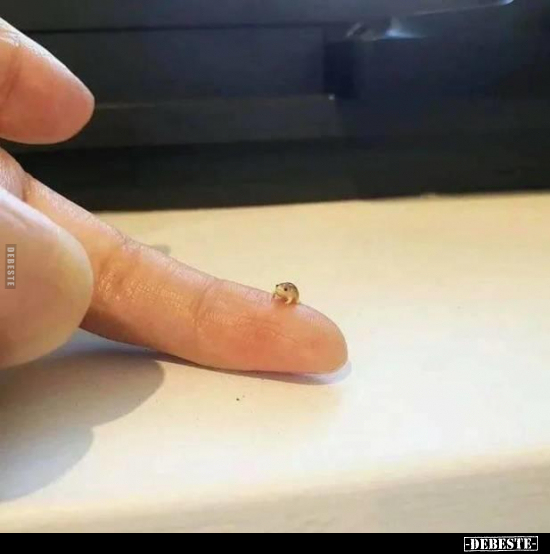  - Lustige Bilder | DEBESTE.de