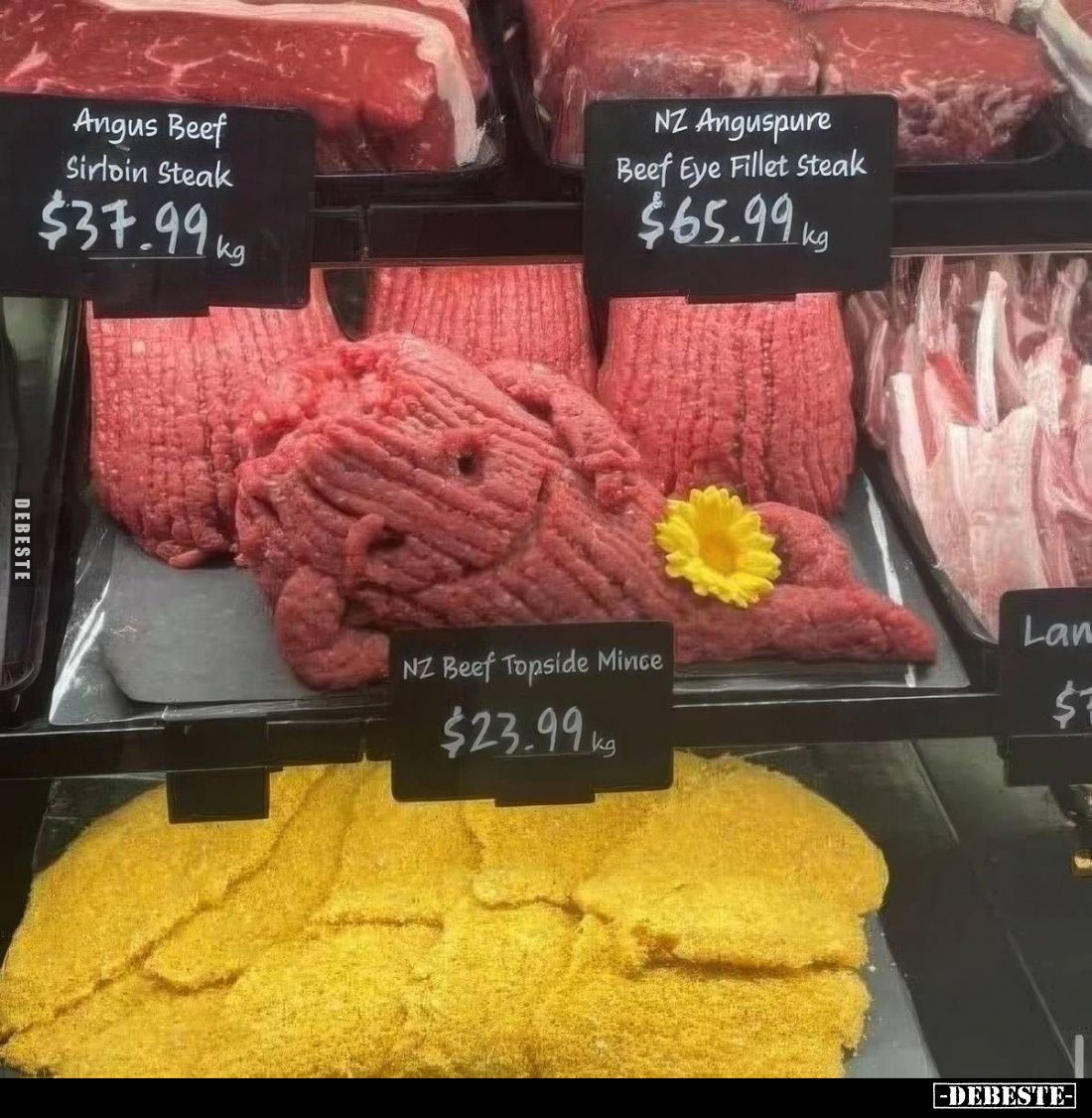  - Lustige Bilder | DEBESTE.de