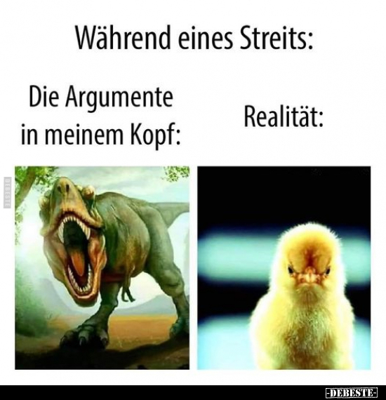 Während eines Streits: Die Argumente in meinem Kopf.. - Lustige Bilder | DEBESTE.de
