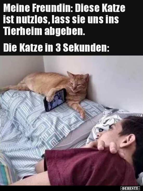 Lustige Bilder zum Thema: Katze, Freundin