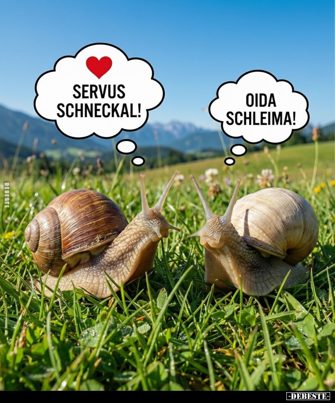 Servus Schneckal!.. - Lustige Bilder | DEBESTE.de