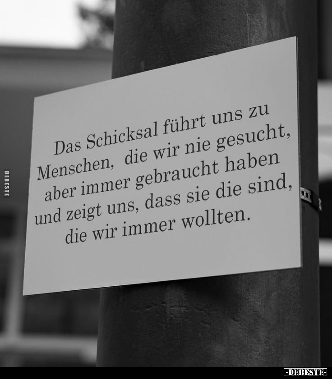 Das Schicksal führt uns zu Menschen, die wir nie gesucht, aber immer gebraucht haben und zeigt uns, dass sie die sind, die wi...