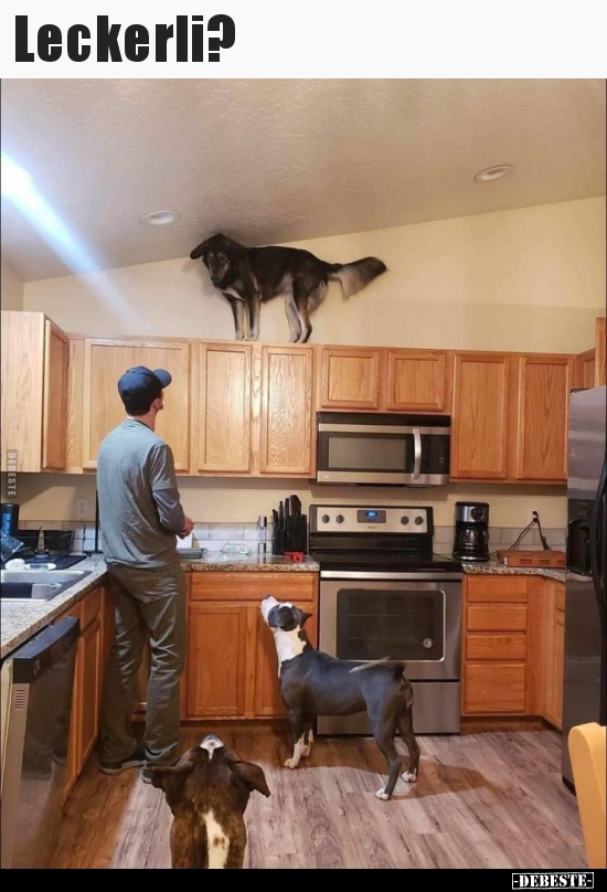 Leckerli?..