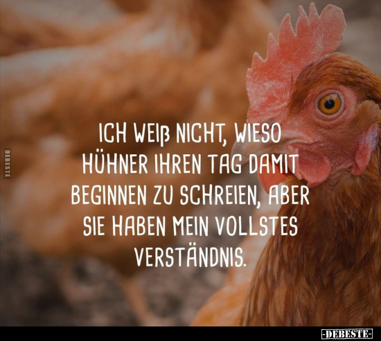 Ich weiß nicht, wieso Hühner ihren Tag, damit beginnen zu.. - Lustige Bilder | DEBESTE.de