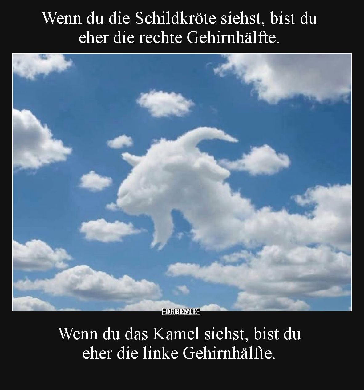 Wenn du die Schildkröte siehst.. - Lustige Bilder | DEBESTE.de