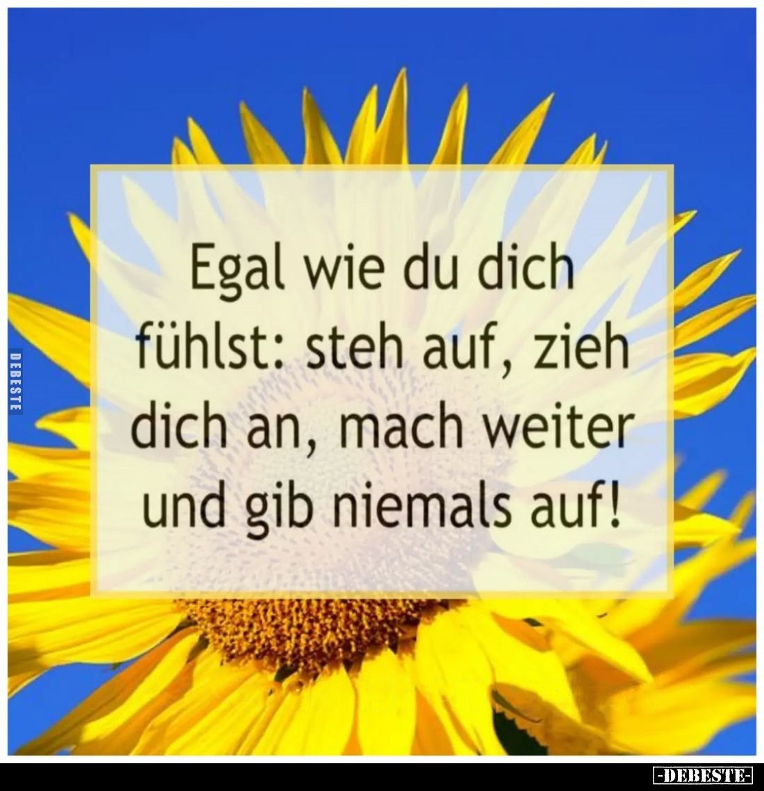 Egal wie du dich fühlst: steh auf, zieh dich an, mach weiter und gib niemals auf!