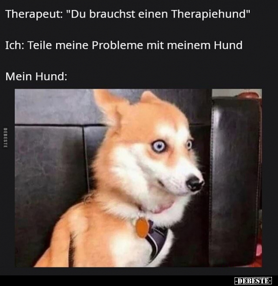 Therapeut: "Du brauchst einen Therapiehund".. - Lustige Bilder | DEBESTE.de