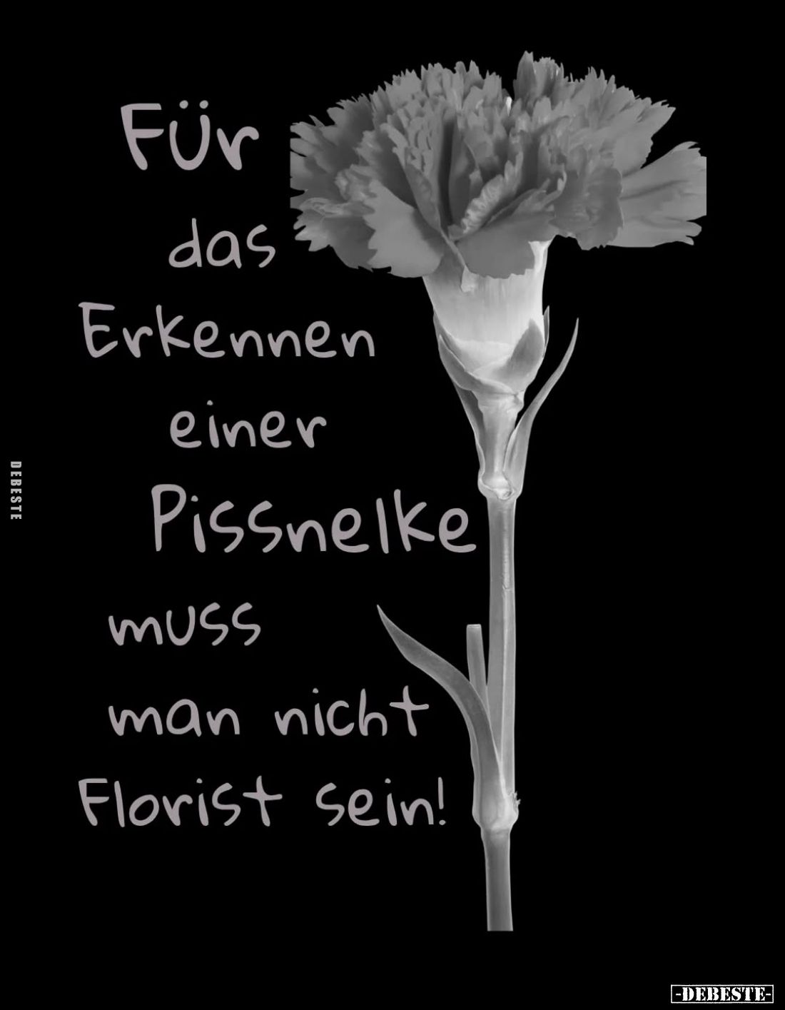 Für das Erkennen einer Pissnelke MUSS man nicht Florist sein!