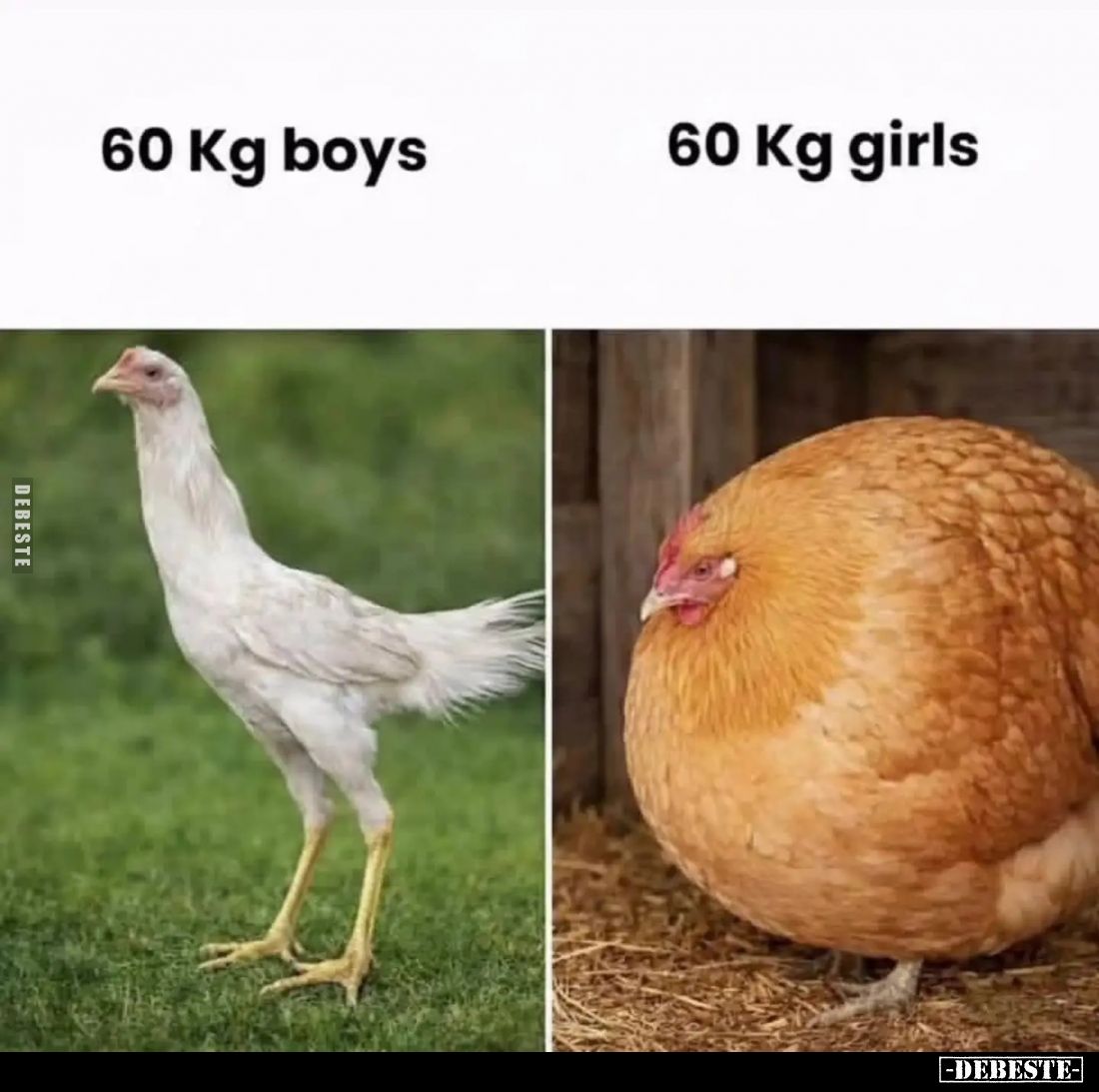 60 Kg boys. -
60 Kg girls.