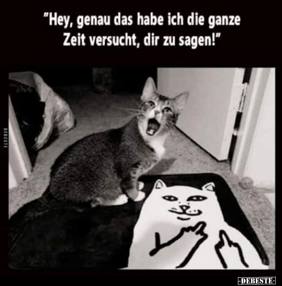 "Hey, genau das habe ich die ganze Zeit versucht, dir zu.."