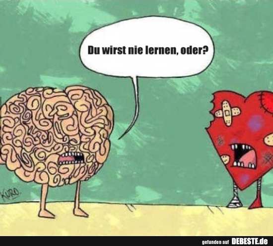 Du wirst nie lernen, oder?