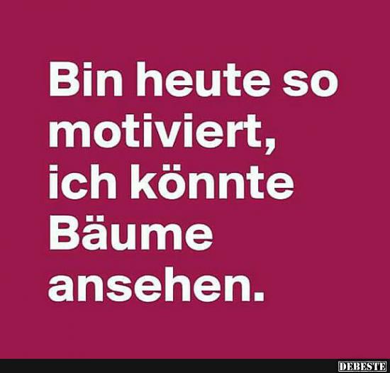 Ich bin heute so motiviert, ich könnte Bäume ansehen. - Lustige Bilder | DEBESTE.de