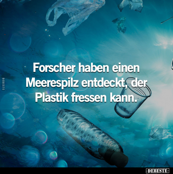 Forscher haben einen Meerespilz entdeckt.. - Lustige Bilder | DEBESTE.de