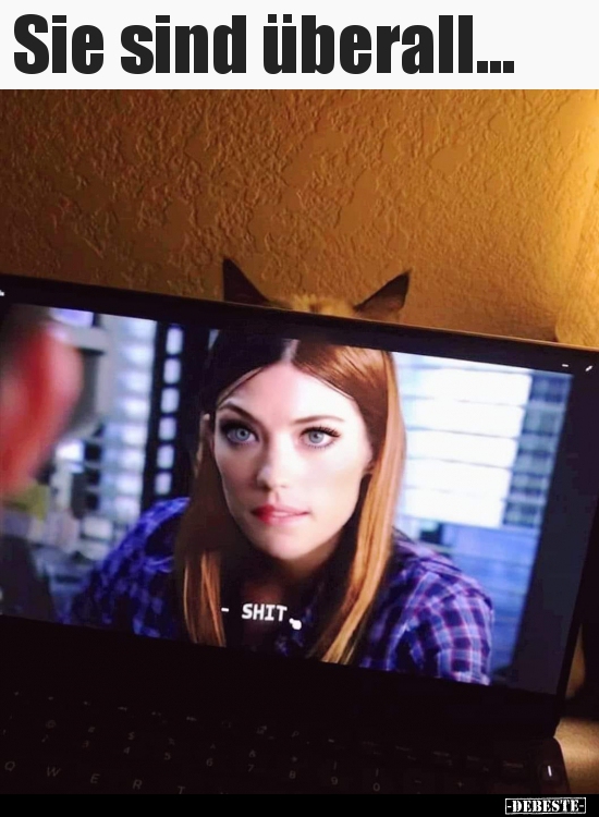 Sie sind überall...