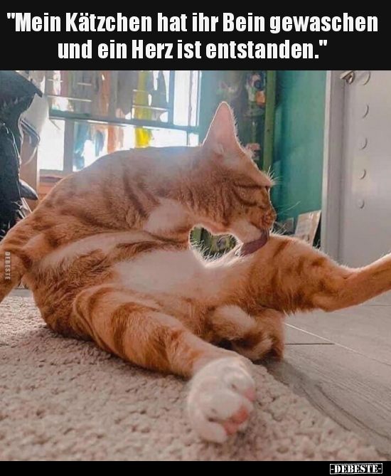 "Mein Kätzchen hat ihr Bein gewaschen und ein Herz ist.." - Lustige Bilder | DEBESTE.de