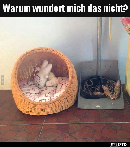 Warum wundert mich das nicht?..