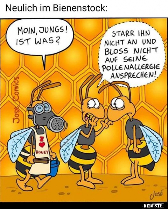 Neulich im Bienenstock.. - Lustige Bilder | DEBESTE.de