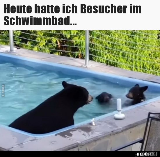 Heute hatte ich Besucher im Schwimmbad... - Lustige Bilder | DEBESTE.de