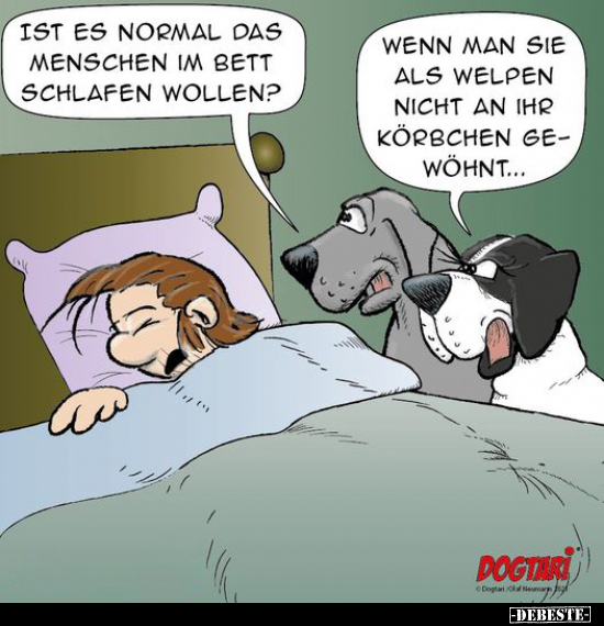 Ist es normal, dass Menschen im Bett schlafen wollen?.. - Lustige Bilder | DEBESTE.de