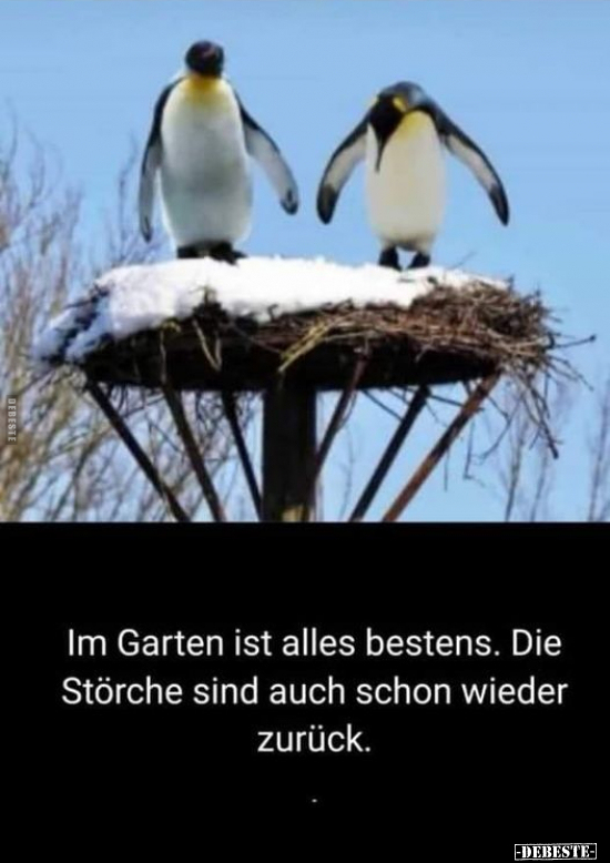 Im Garten ist alles bestens. Die Störche sind auch schon.. - Lustige Bilder | DEBESTE.de