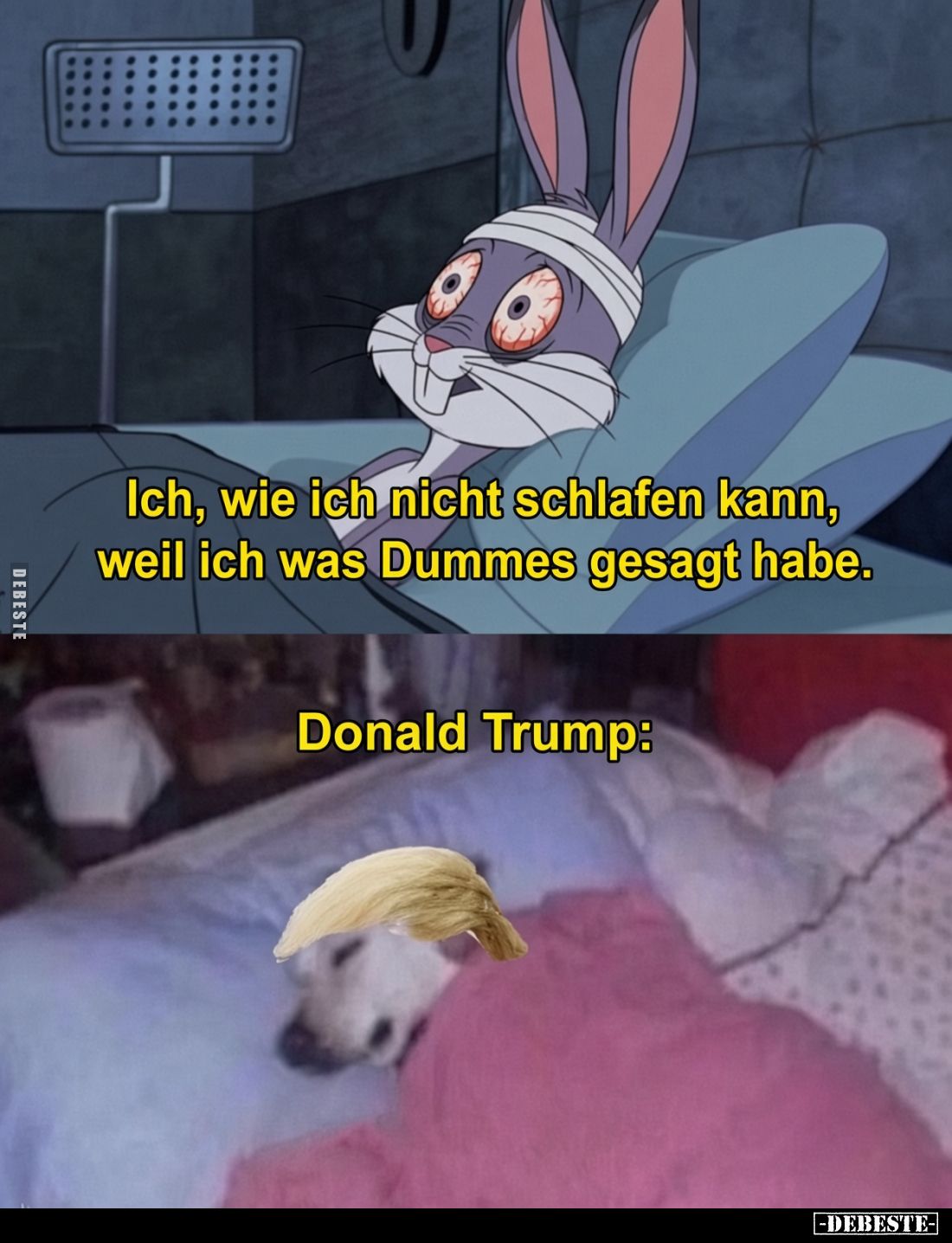 Ich, wie ich nicht schlafen kann, weil ich was Dummes.. - Lustige Bilder | DEBESTE.de