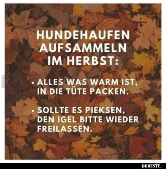 Hundehaufen aufsammeln im Herbst.. - Lustige Bilder | DEBESTE.de