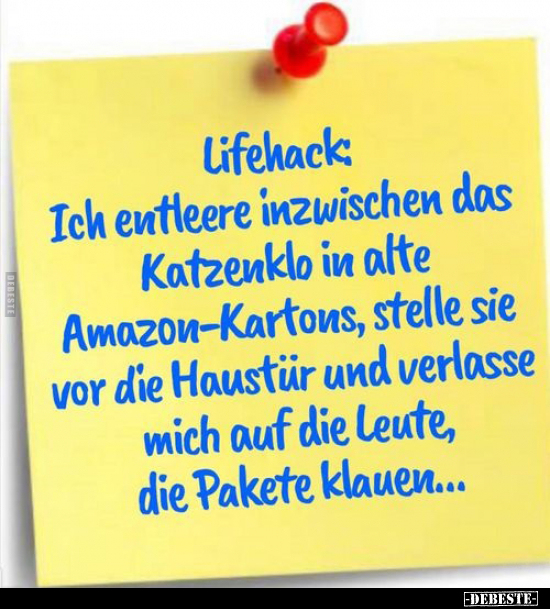 Lifehack: Ich entleere inzwischen das Katzenklo in alte.. - Lustige Bilder | DEBESTE.de