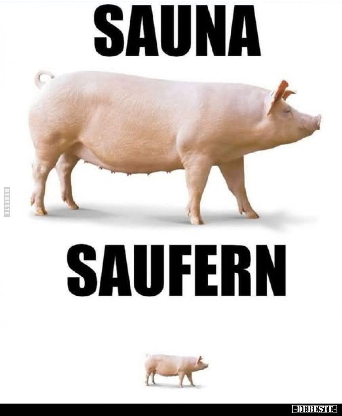 Sauna
-
Saufern