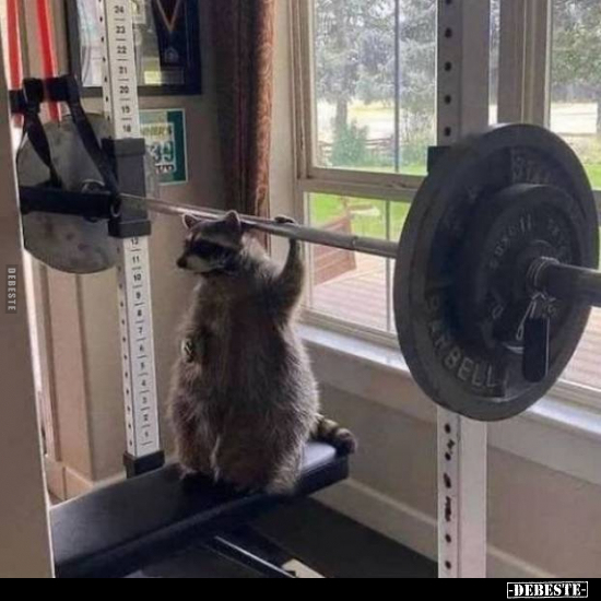  - Lustige Bilder | DEBESTE.de