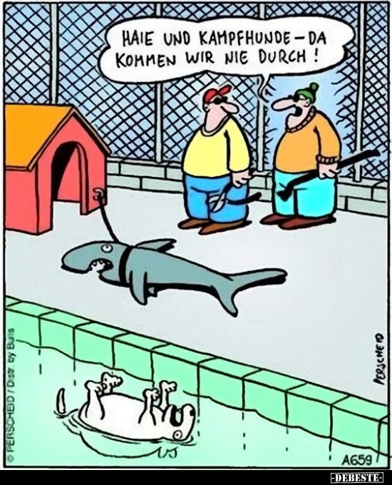 Haie und Kampfhunde - da kommen wir nie durch!.. - Lustige Bilder | DEBESTE.de