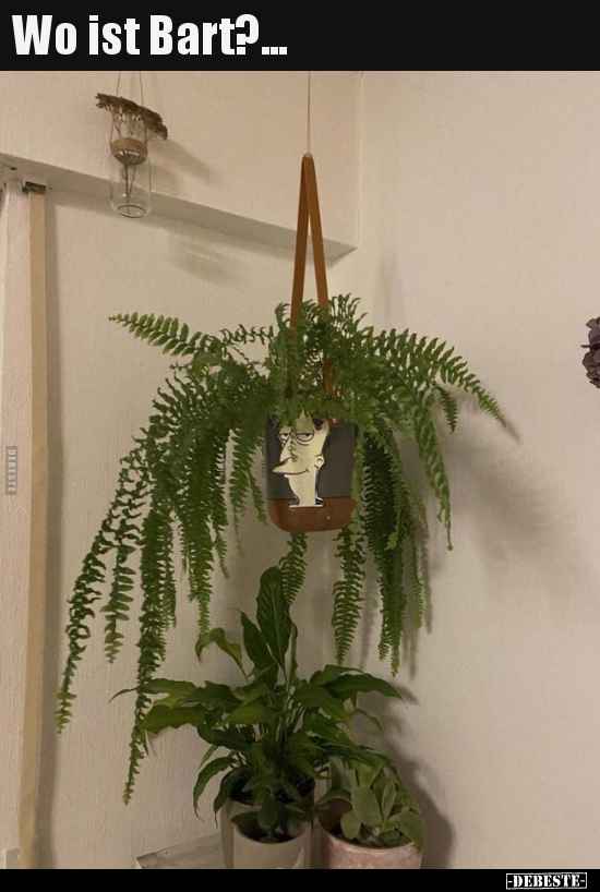 Wo ist Bart?...