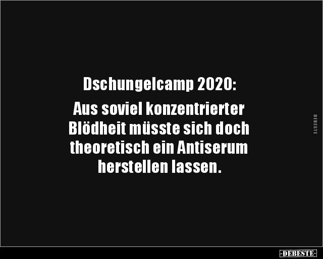 Dschungelcamp 2020: Aus soviel konzentrierter.. - Lustige Bilder | DEBESTE.de