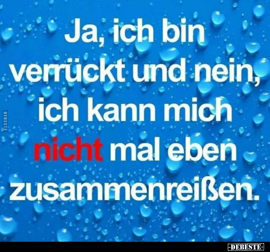 Ja, ich bin verrückt und nein, ich kann mich nicht mal eben.. - Lustige Bilder | DEBESTE.de