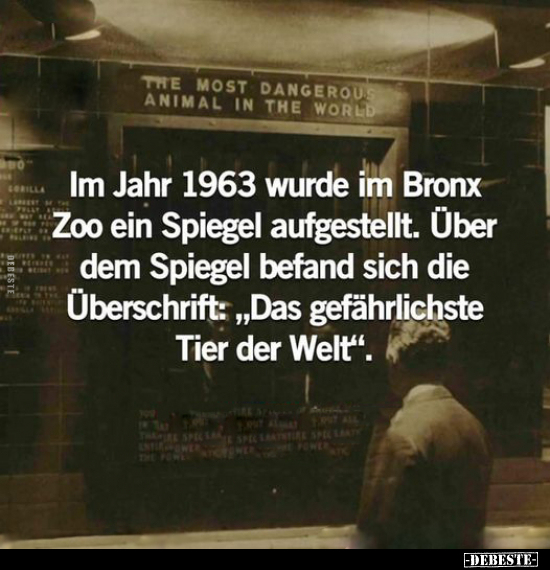 Im Jahr 1963 wurde im Bronx Zoo ein Spiegel aufgestellt... - Lustige Bilder | DEBESTE.de