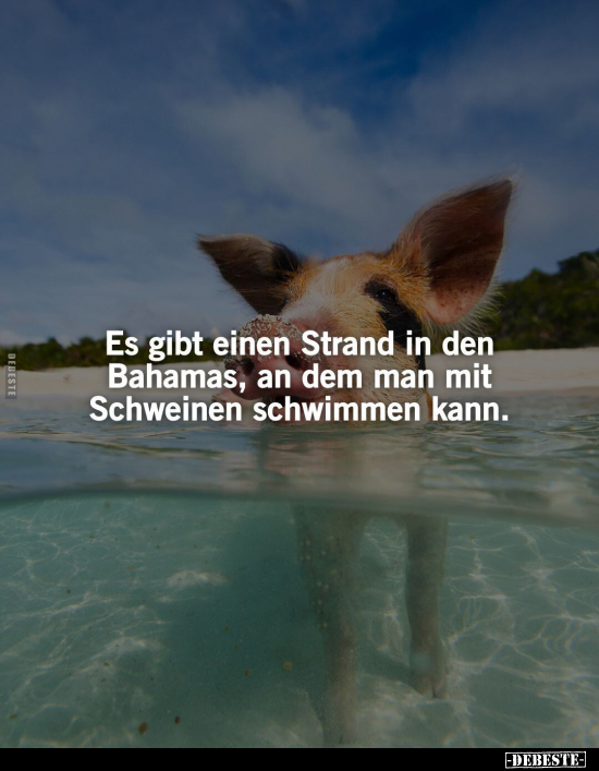 Es gibt einen Strand in den Bahamas, an dem man mit.. - Lustige Bilder | DEBESTE.de