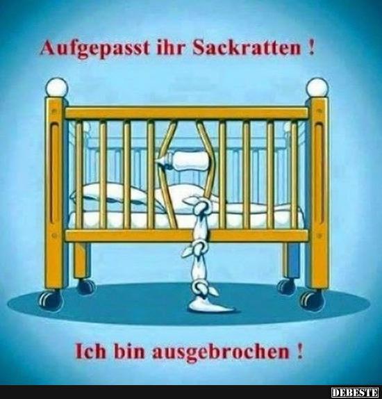 Aufgepasst ihr Sackratten!