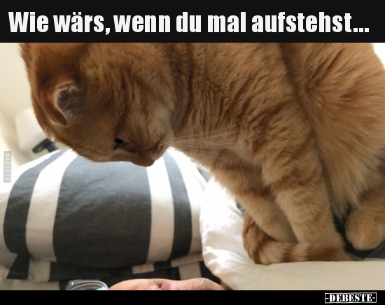 Wie wärs, wenn du mal aufstehst…