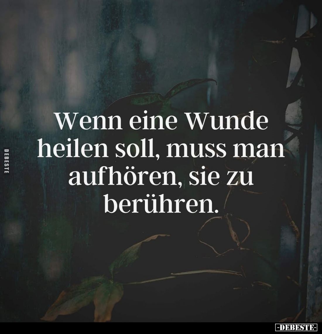 Wenn eine Wunde heilen soll, muss man aufhören, sie zu berühren.