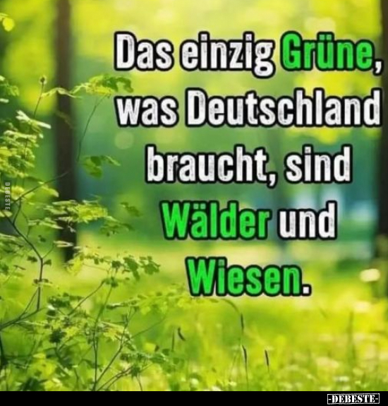 Das einzig Grüne, was Deutschland braucht, sind.. - Lustige Bilder | DEBESTE.de