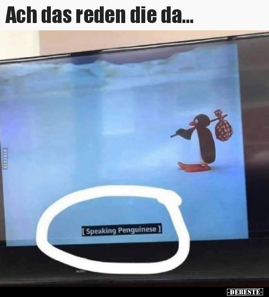 Ach das reden die da...