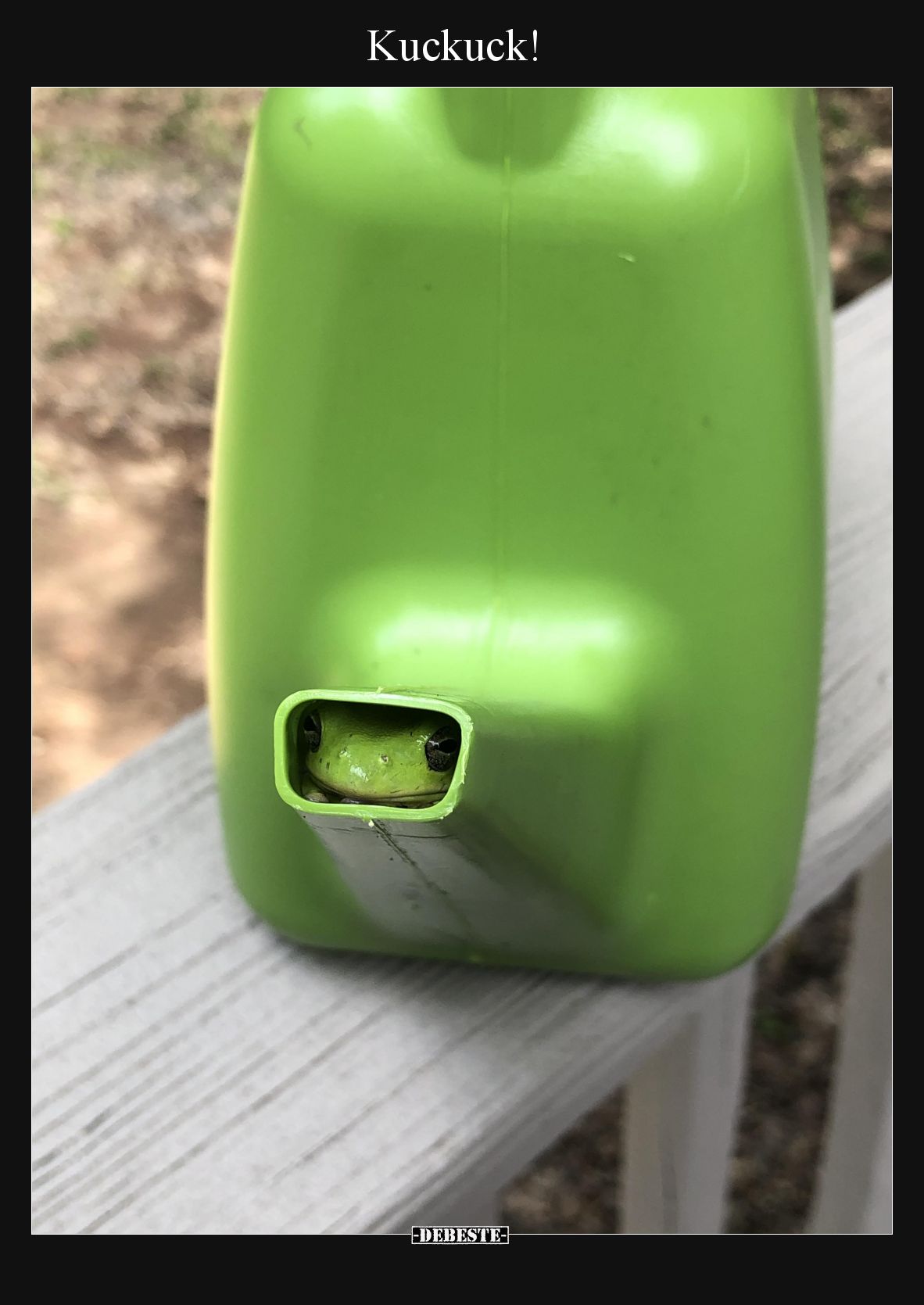 Kuckuck!